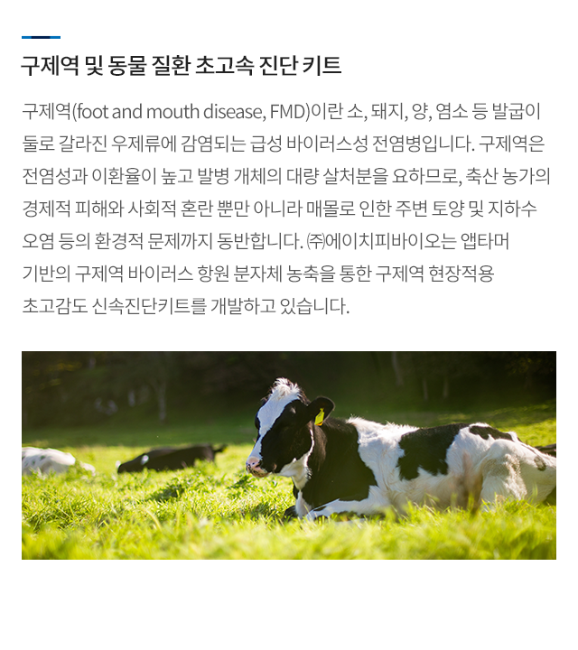 탈모 유전자검사