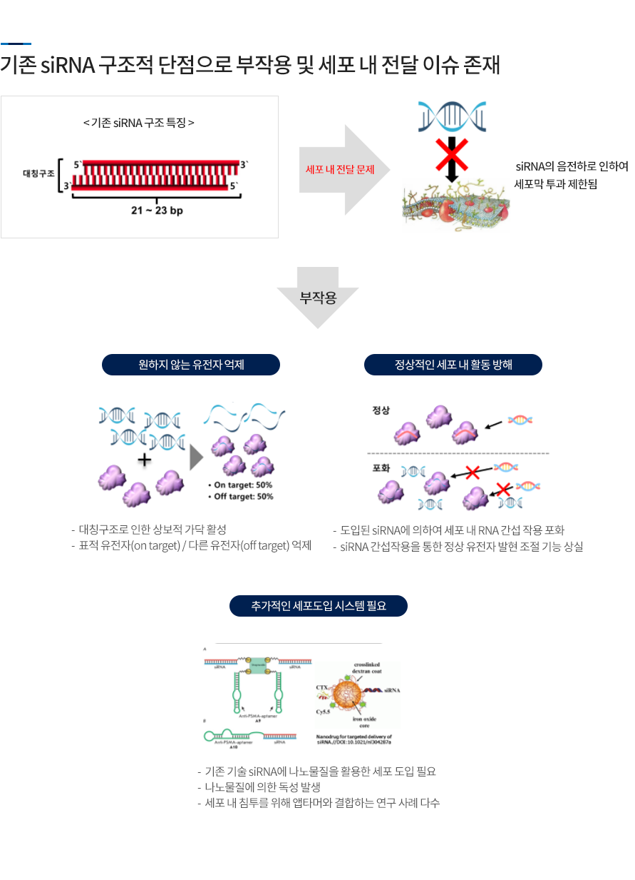 기존의 핵산치료제의 한계점