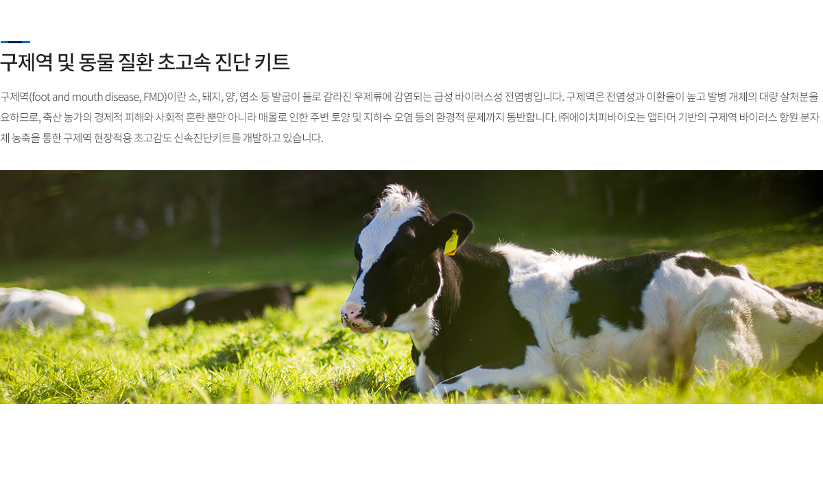 진단기술 개발 현황